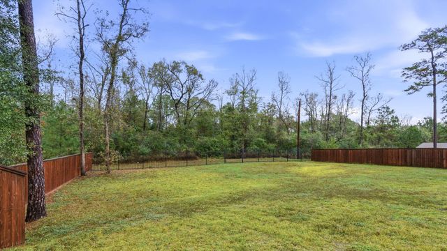 203 Magnolia Reserve Loop, Magnolia, TX 77354