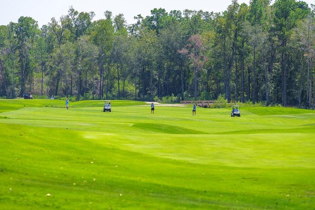 8728 Mancos Valley Court, Porter, TX 77365