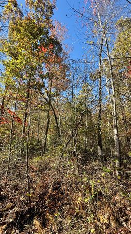 0 Owl Hollow Road Lot6, Palmer, TN 37365