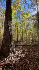0 Owl Hollow Road Lot6, Palmer, TN 37365