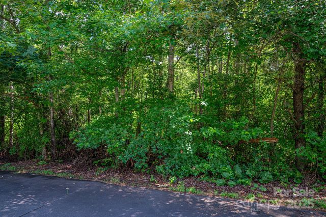 Lot 33 Line Drive, Forest City, NC 28043