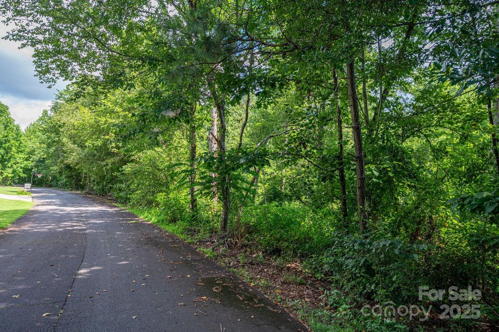 Lot 33 Line Drive, Forest City, NC 28043