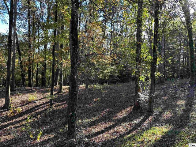 1411 CANEY LANE, Ruston, LA 71270