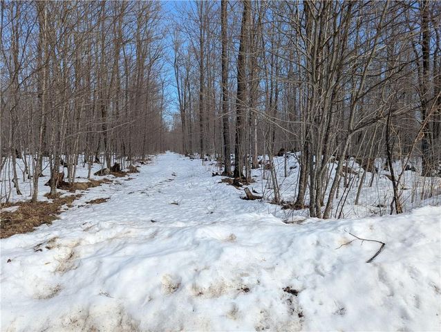 N4900 Homestead Road, Hawkins, WI 54530