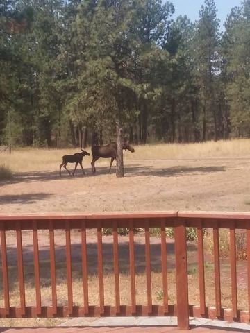 15817 S Whitehouse Ln, Cheney, WA 99004