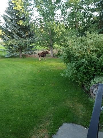 15817 S Whitehouse Ln, Cheney, WA 99004