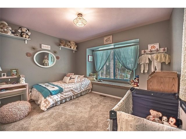 19015 Royal Archers Ln, Monument, CO 80132