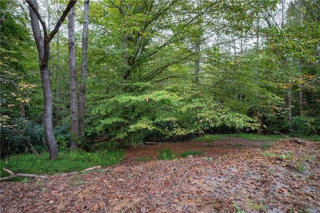 157 Cedar Point Drive, Mount Airy, NC 27030