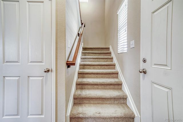 3810 Cadence Drive, Castle Rock, CO 80109