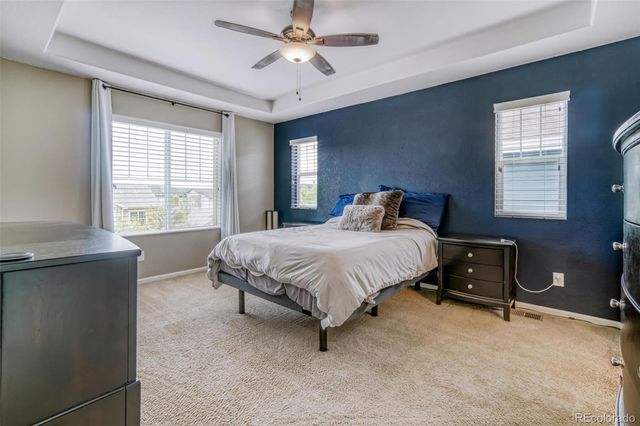 3810 Cadence Drive, Castle Rock, CO 80109