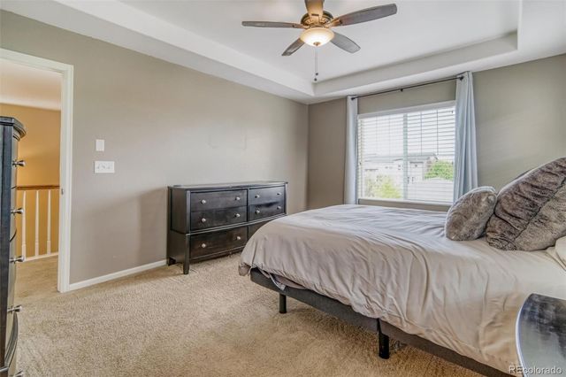 3810 Cadence Drive, Castle Rock, CO 80109