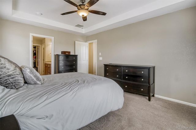 3810 Cadence Drive, Castle Rock, CO 80109