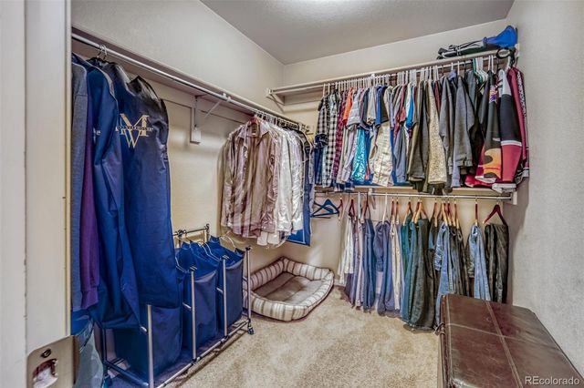 3810 Cadence Drive, Castle Rock, CO 80109