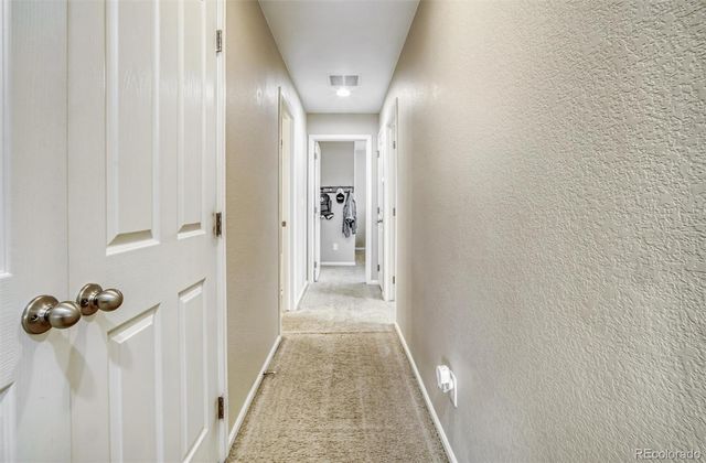 3810 Cadence Drive, Castle Rock, CO 80109