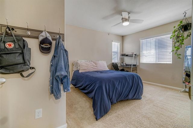 3810 Cadence Drive, Castle Rock, CO 80109