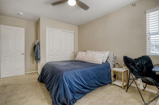 3810 Cadence Drive, Castle Rock, CO 80109