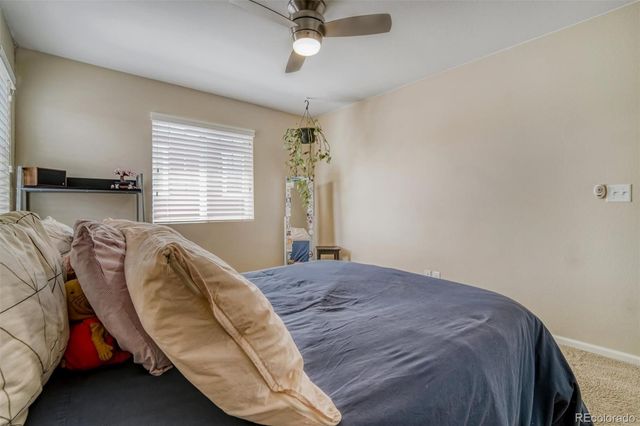 3810 Cadence Drive, Castle Rock, CO 80109