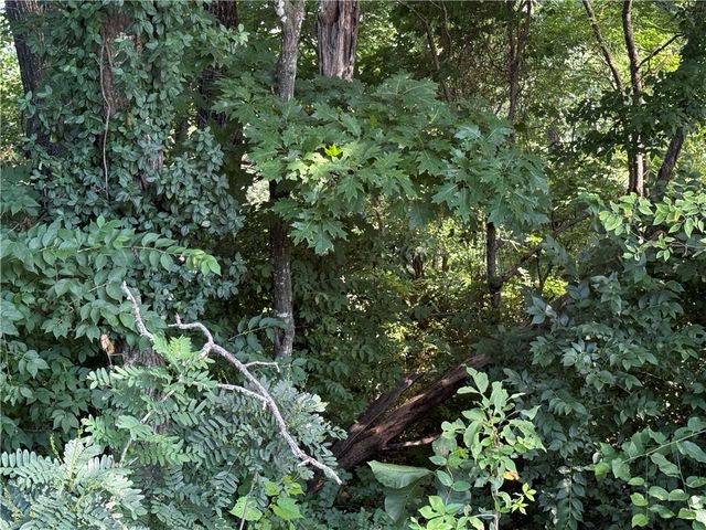 12 Cypress Point Lane, Holiday Island, AR 72631