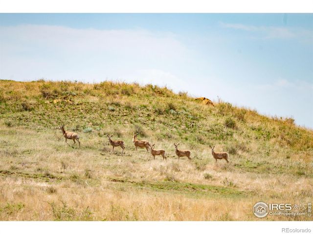 0 CR 90, Ault, CO 80610