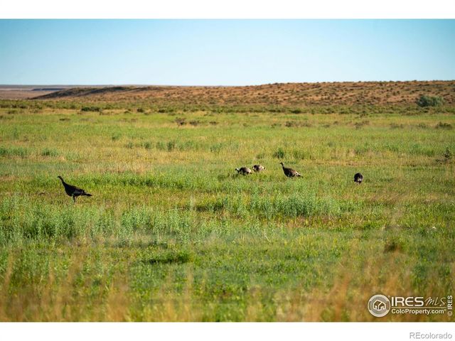 0 CR 90, Ault, CO 80610