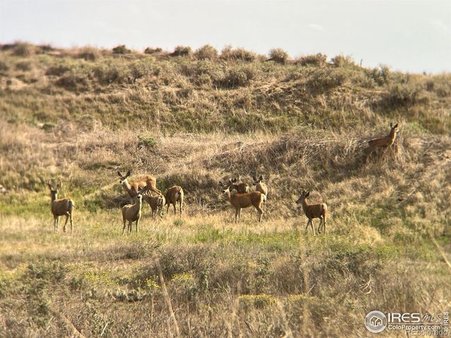 0 CR 90, Ault, CO 80610