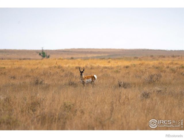 0 CR 90, Ault, CO 80610
