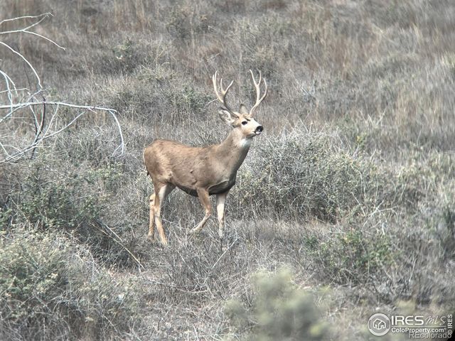0 CR 90, Ault, CO 80610