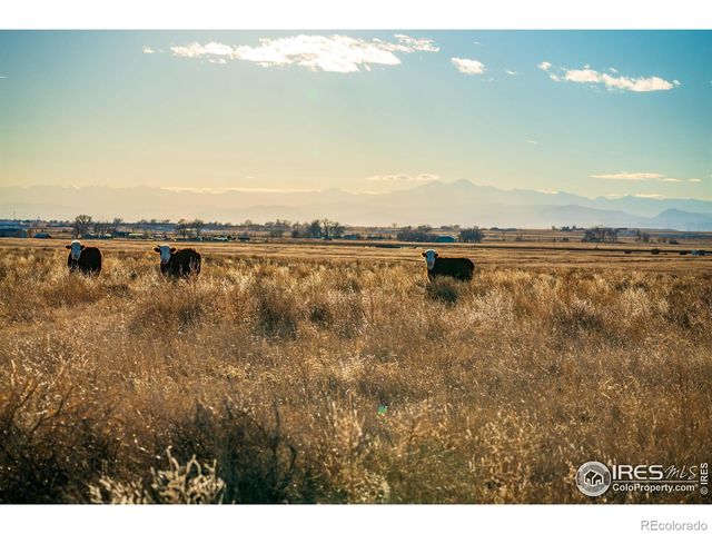 0 CR 90, Ault, CO 80610