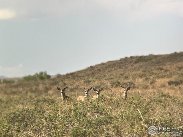 0 CR 90, Ault, CO 80610