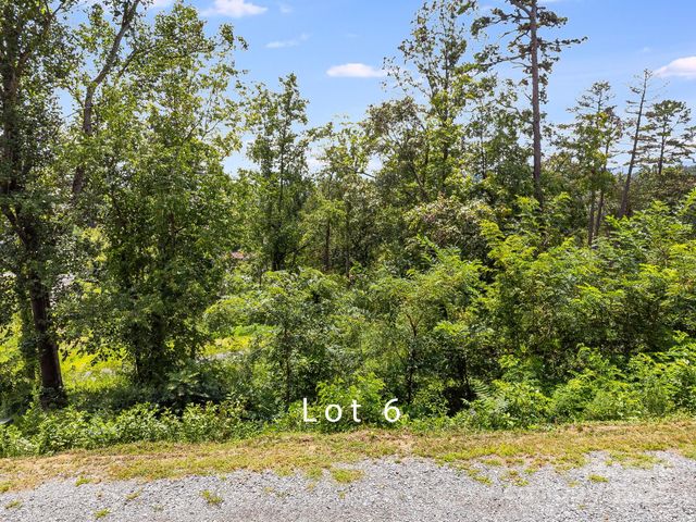 332 Espen Ridge 6, Asheville, NC 28804