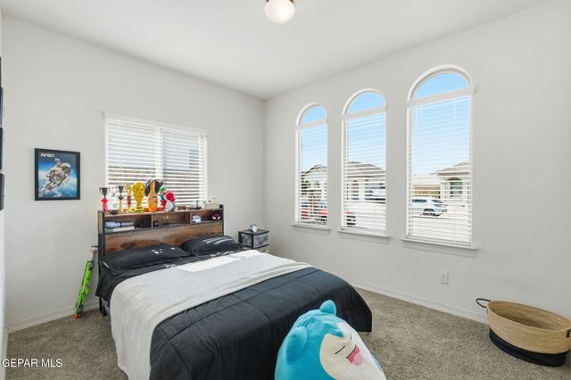 14384 SETH PAYNE Drive, Horizon City, TX 79928