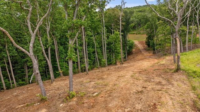 Lot 9+92 High Summit Drive, Talking Rock, GA 30175