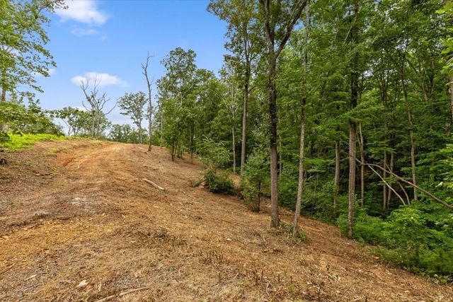 Lot 9+92 High Summit Drive, Talking Rock, GA 30175