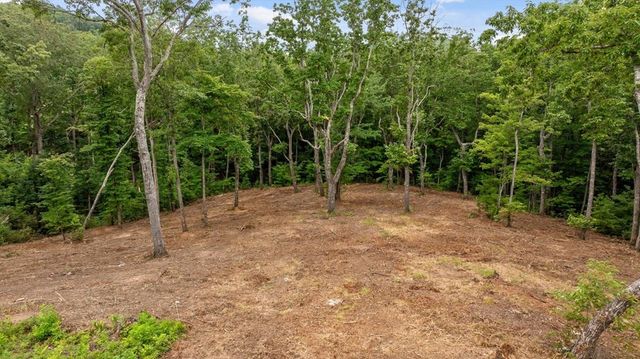 Lot 9+92 High Summit Drive, Talking Rock, GA 30175