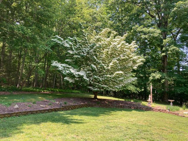 375 Ponderosa Trail, Corbin, KY 40701