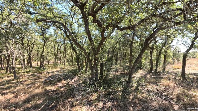 34672 Ansley Ridge, Bulverde, TX 78163