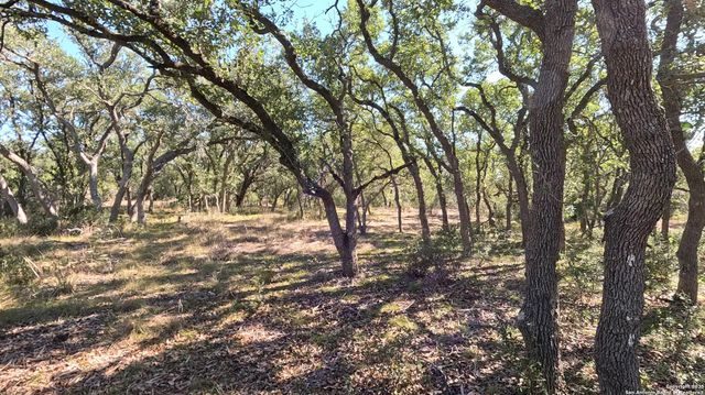 34672 Ansley Ridge, Bulverde, TX 78163