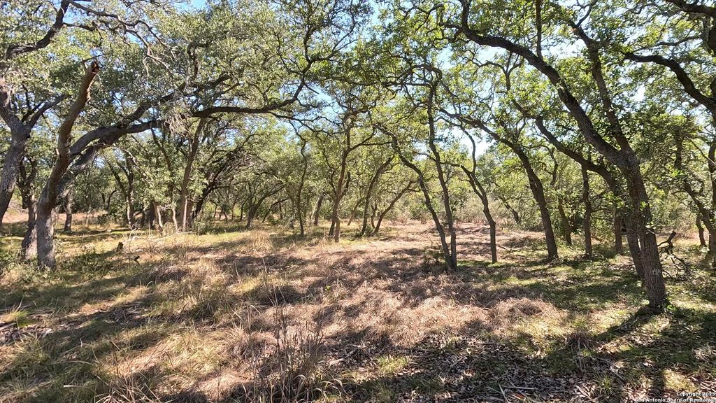 34672 Ansley Ridge, Bulverde, TX 78163