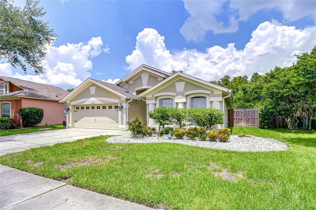 19707 ELLENDALE DRIVE, Land O Lakes, FL 34638