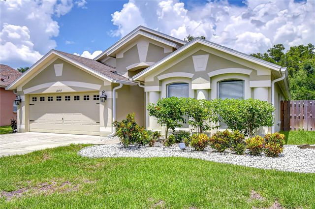 19707 ELLENDALE DRIVE, Land O Lakes, FL 34638