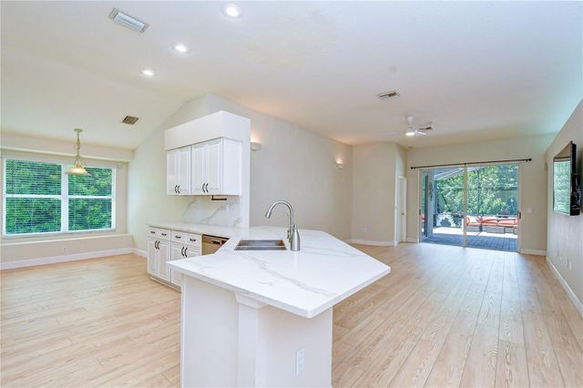 19707 ELLENDALE DRIVE, Land O Lakes, FL 34638