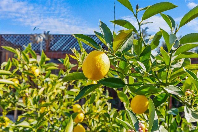 573 Misty Ct, Santa Rosa, CA 95403