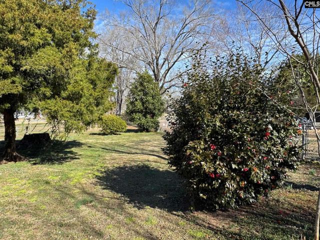 508 Bonham Road, Saluda, SC 28138