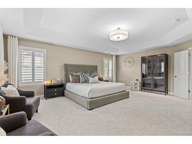 4133 Zodiac Pl, Castle Rock, CO 80109