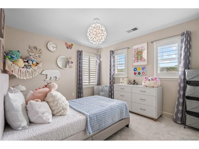 4133 Zodiac Pl, Castle Rock, CO 80109