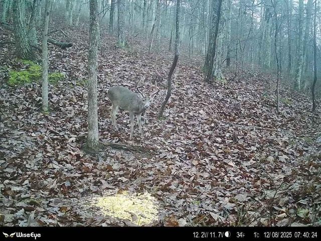 316 Armuchee Trail NE, Rome, GA 30165