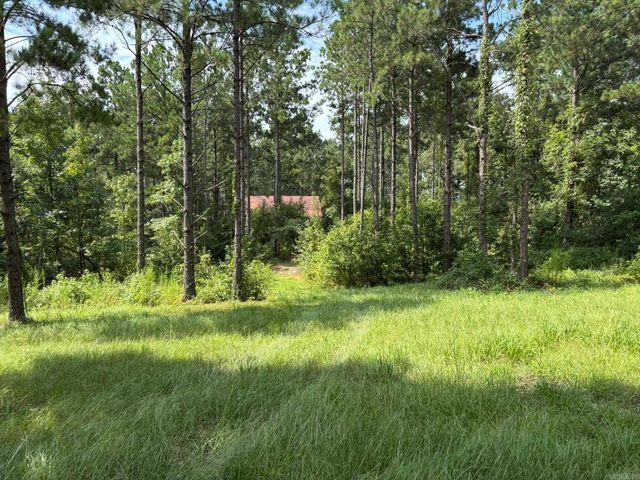 795 Ouachita 12, Chidester, AR 71726