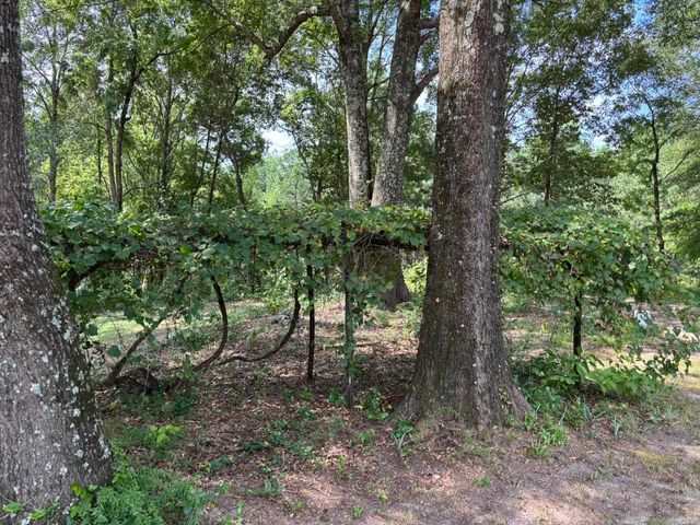 795 Ouachita 12, Chidester, AR 71726