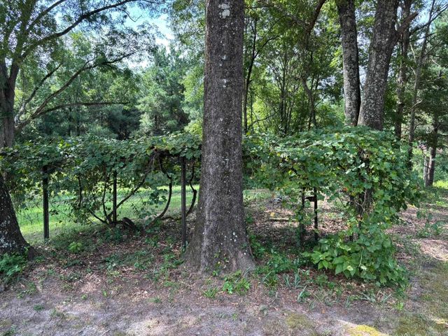 795 Ouachita 12, Chidester, AR 71726