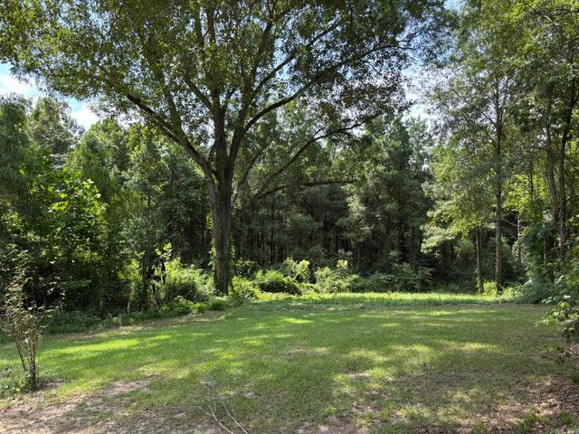 795 Ouachita 12, Chidester, AR 71726